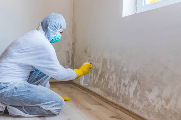 Crawl Space Mold Remediation treatment of floor joists in Ridge